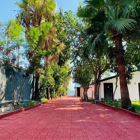 Anessa Beach Hotel Hotel 4*